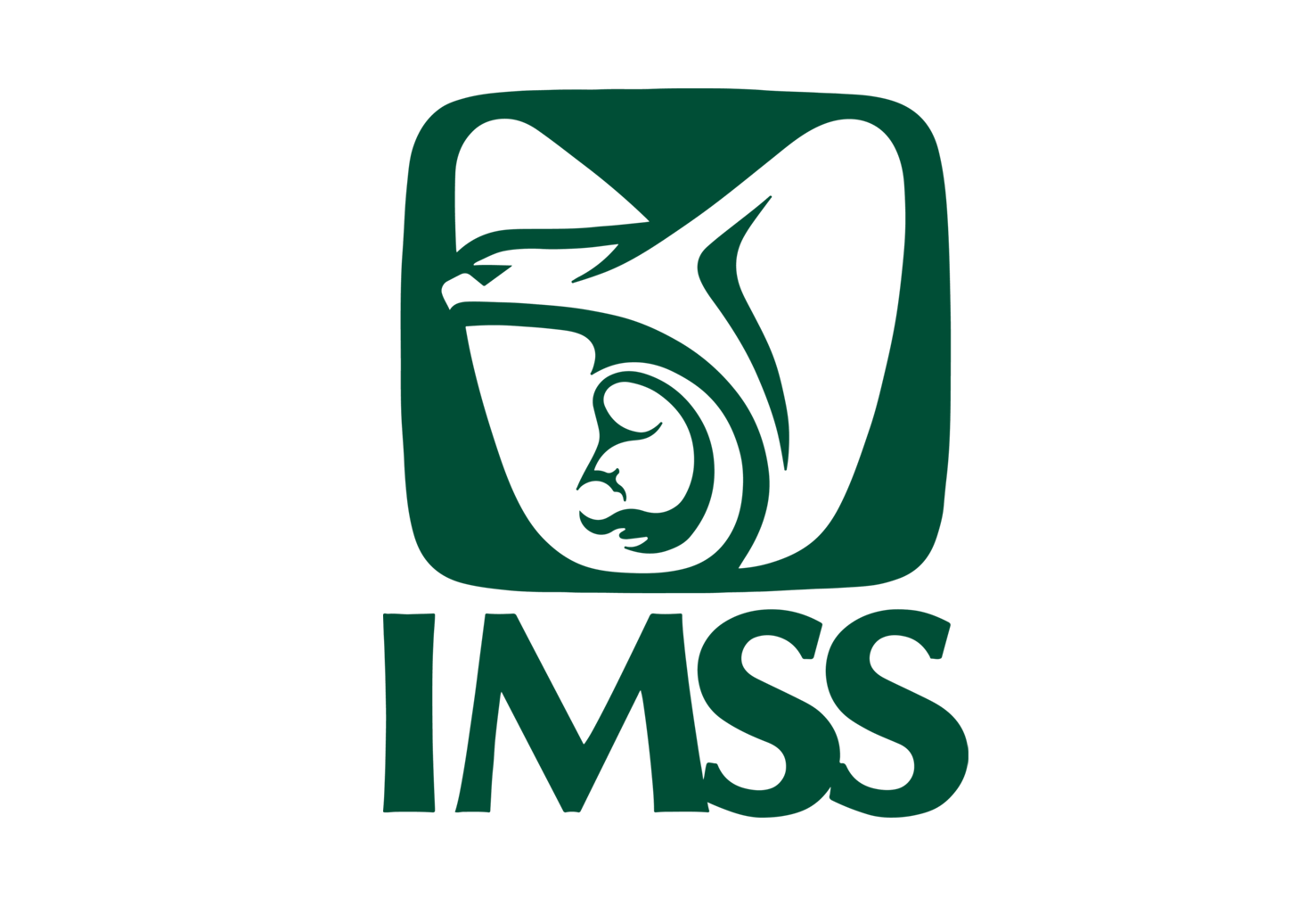 SEYSA INTERNACIONAL IMSS