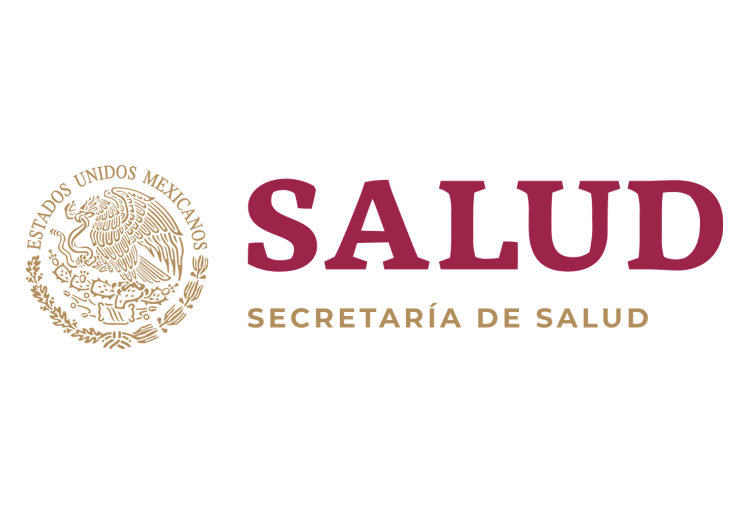 seysa-internacional-secretaria-de-salud